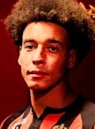 Axel Witsel
